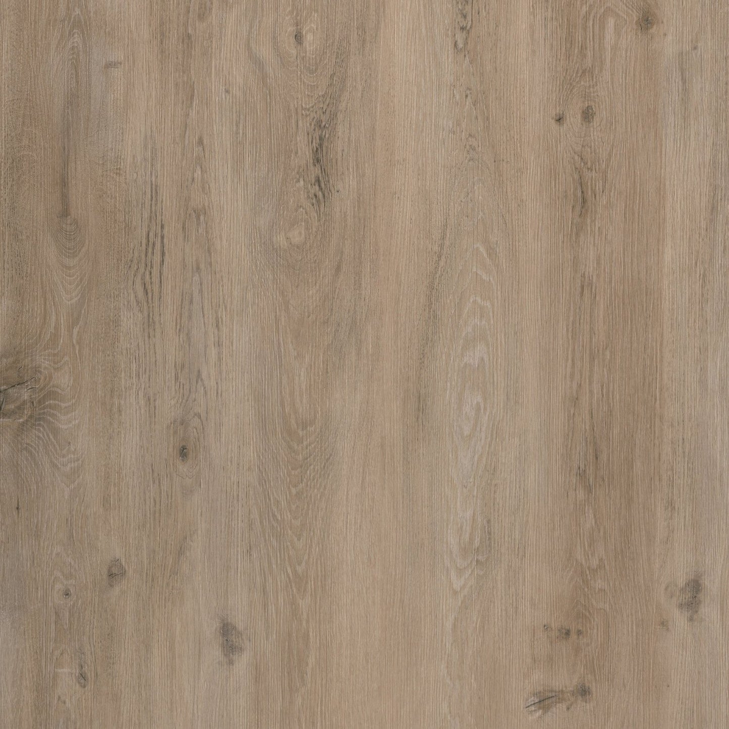 Rivestimenti in SPC - ANETO 4mm - Stratowall Collection_40,00€/mq + Iva