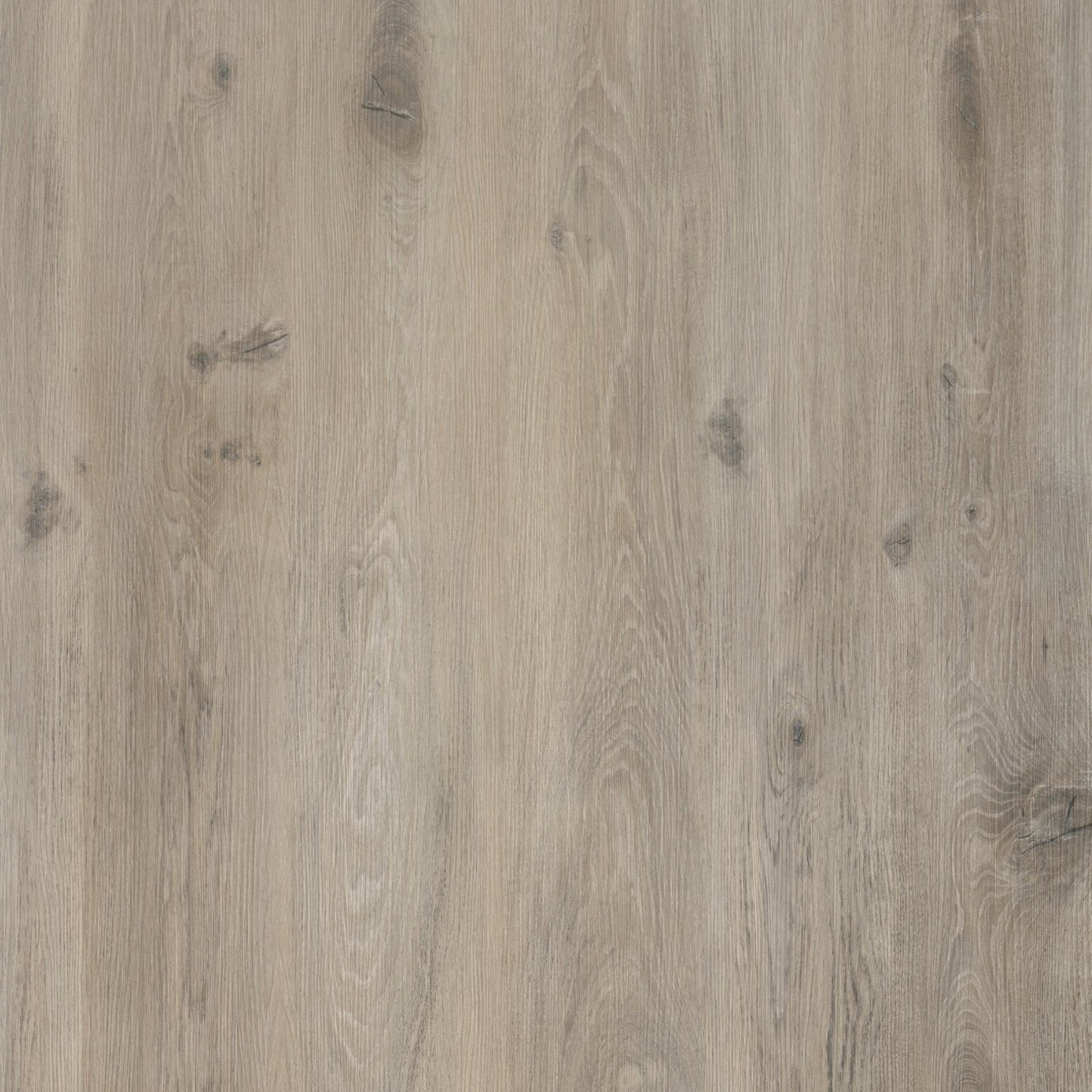 Rivestimenti in SPC - SESAMO 4mm - Stratowall Collection_40,00€/mq + Iva